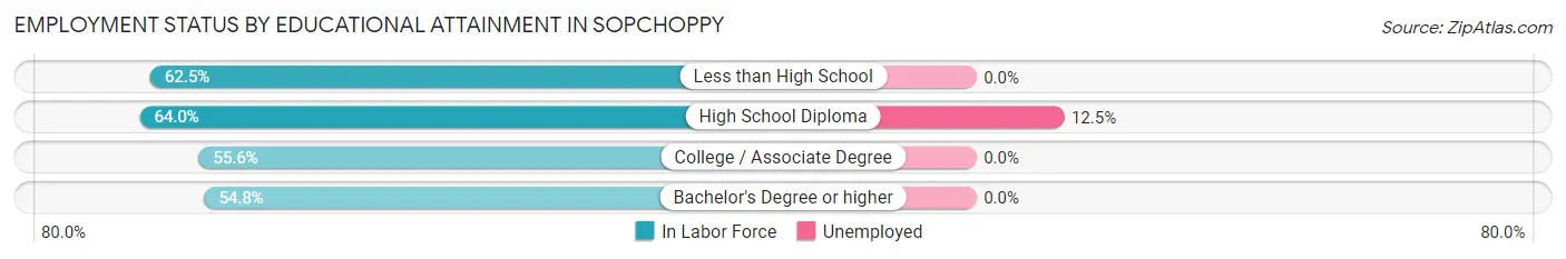 Employment Status by Educational Attainment in Sopchoppy