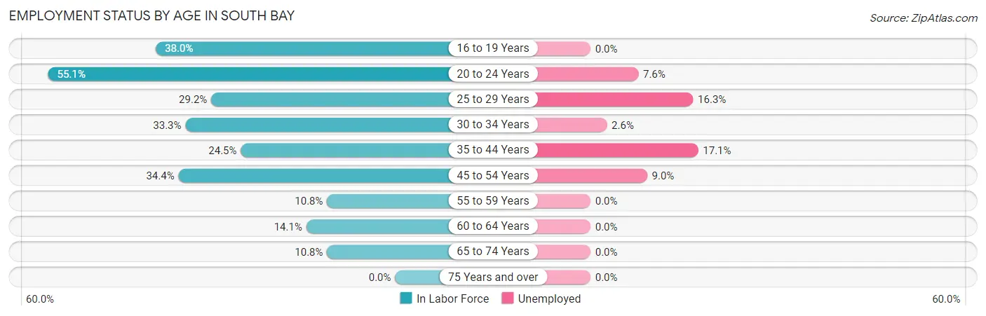 Employment Status by Age in South Bay
