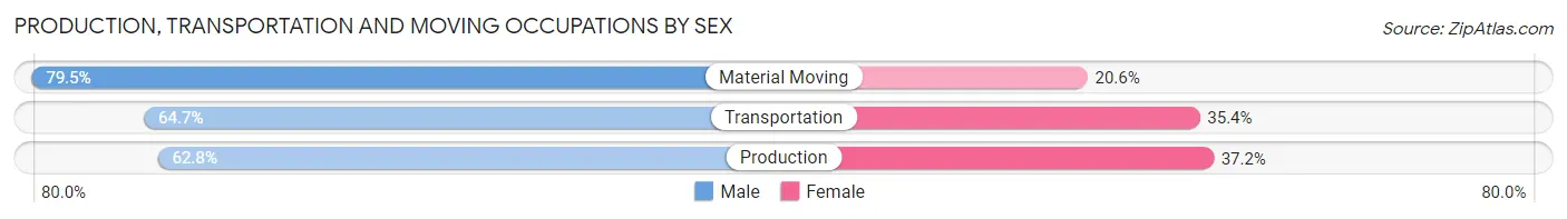 Production, Transportation and Moving Occupations by Sex in South Bradenton