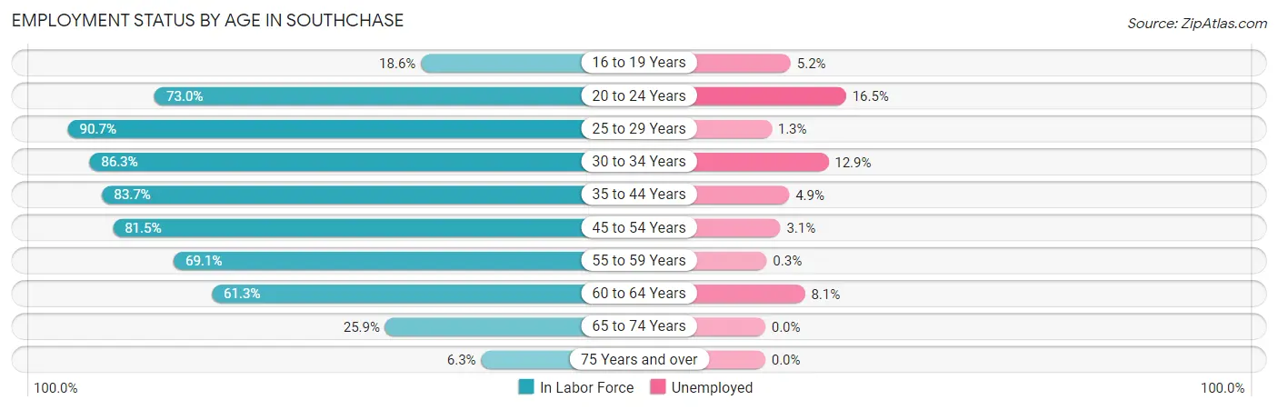 Employment Status by Age in Southchase