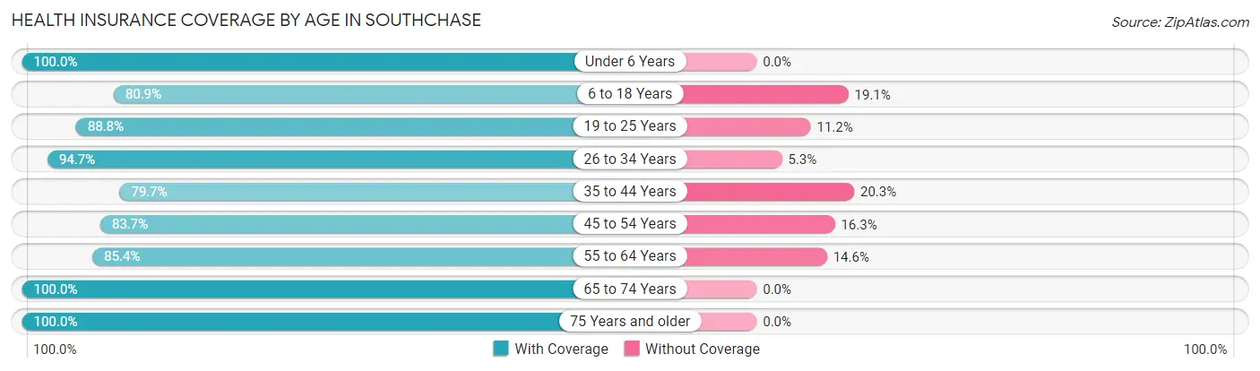 Health Insurance Coverage by Age in Southchase