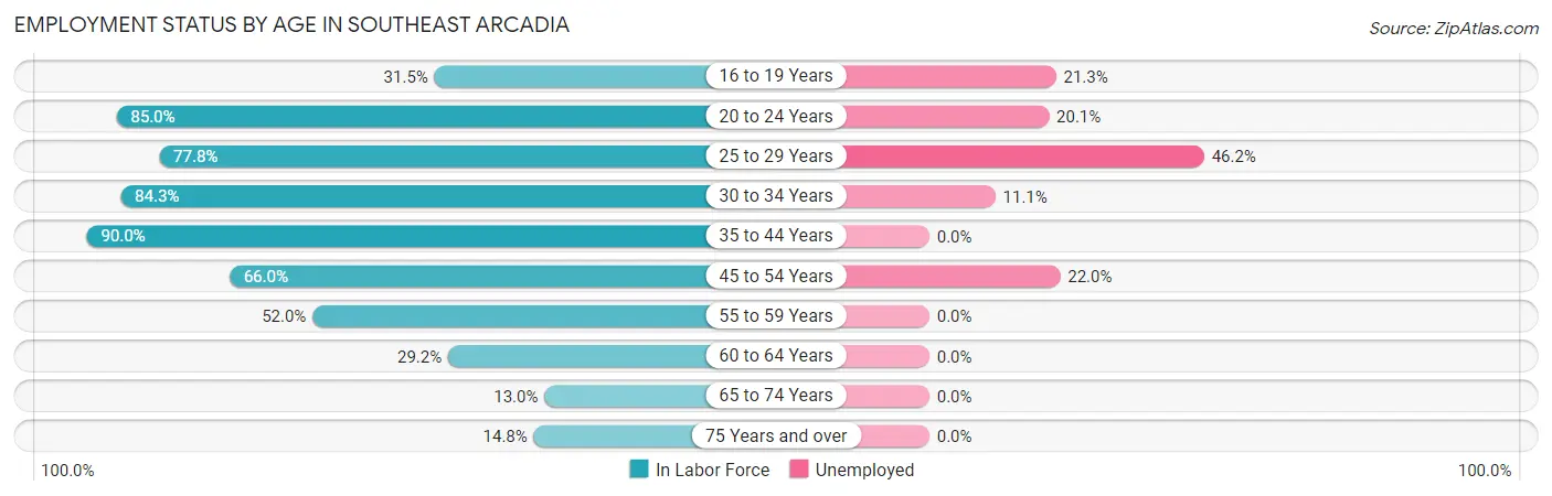 Employment Status by Age in Southeast Arcadia