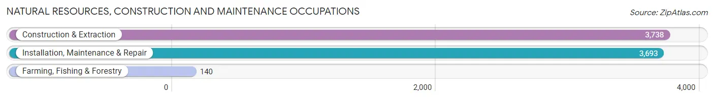 Natural Resources, Construction and Maintenance Occupations in St Petersburg