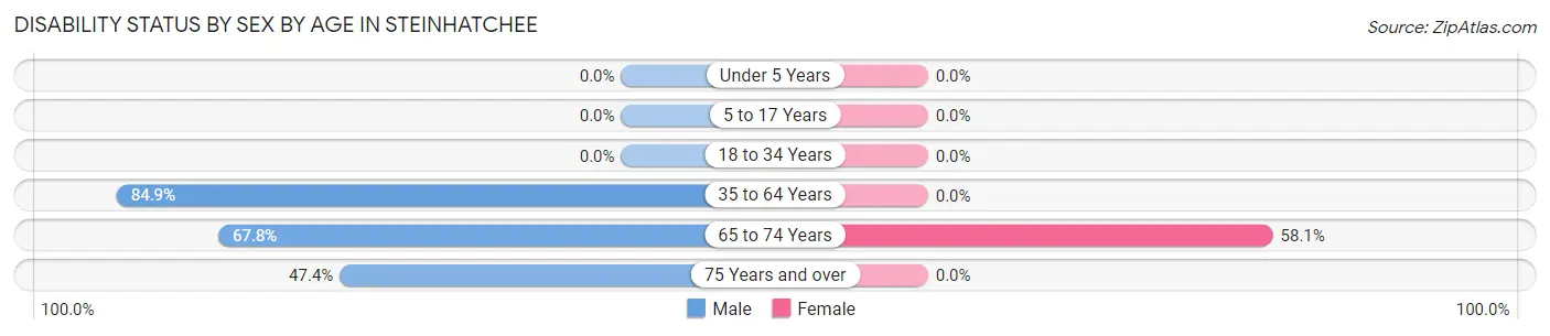 Disability Status by Sex by Age in Steinhatchee