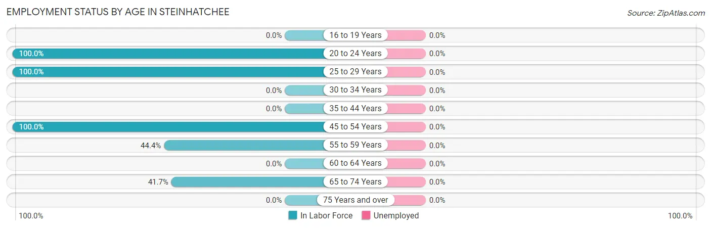 Employment Status by Age in Steinhatchee