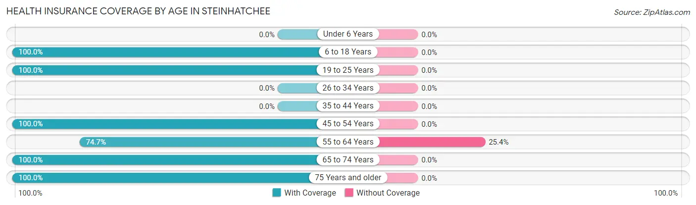 Health Insurance Coverage by Age in Steinhatchee