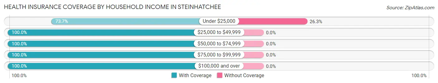 Health Insurance Coverage by Household Income in Steinhatchee