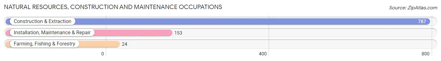 Natural Resources, Construction and Maintenance Occupations in Stuart