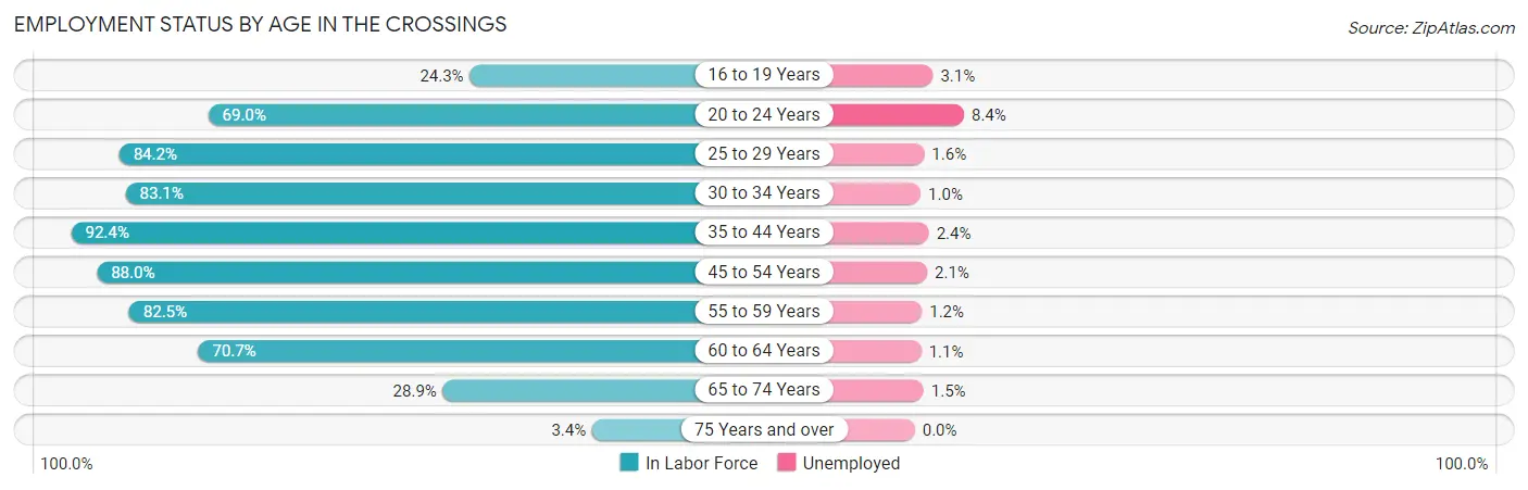 Employment Status by Age in The Crossings