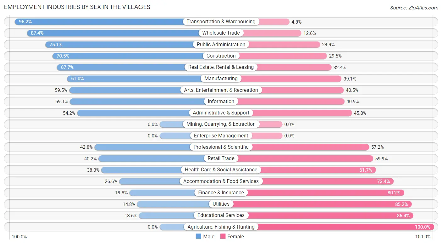 Employment Industries by Sex in The Villages