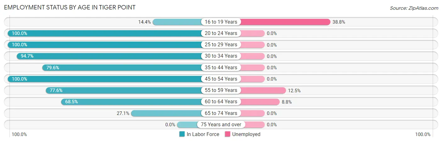Employment Status by Age in Tiger Point