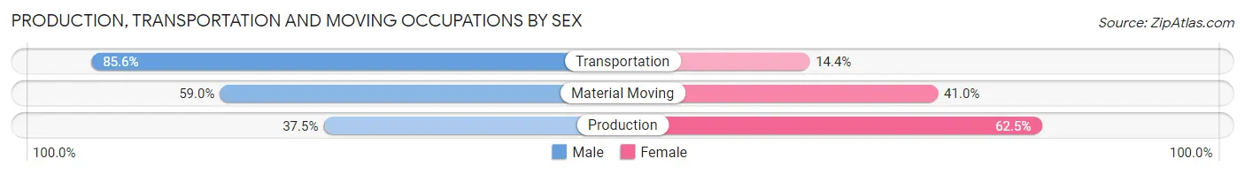 Production, Transportation and Moving Occupations by Sex in Valparaiso