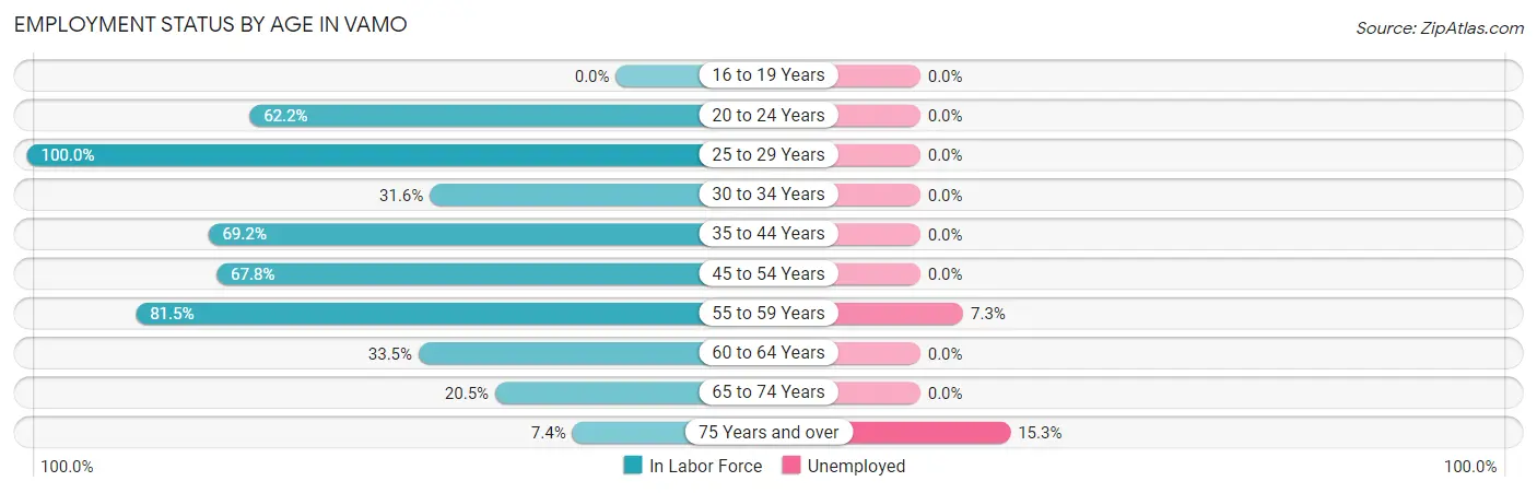 Employment Status by Age in Vamo