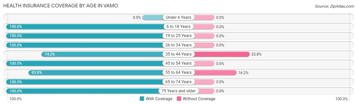 Health Insurance Coverage by Age in Vamo