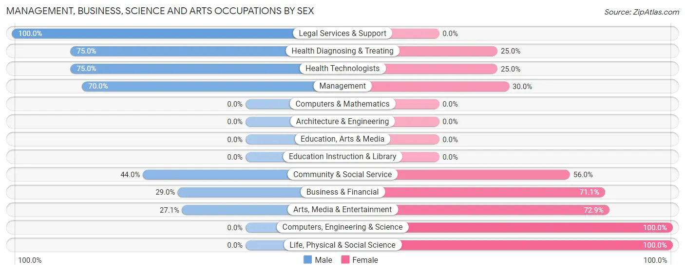 Management, Business, Science and Arts Occupations by Sex in Vamo