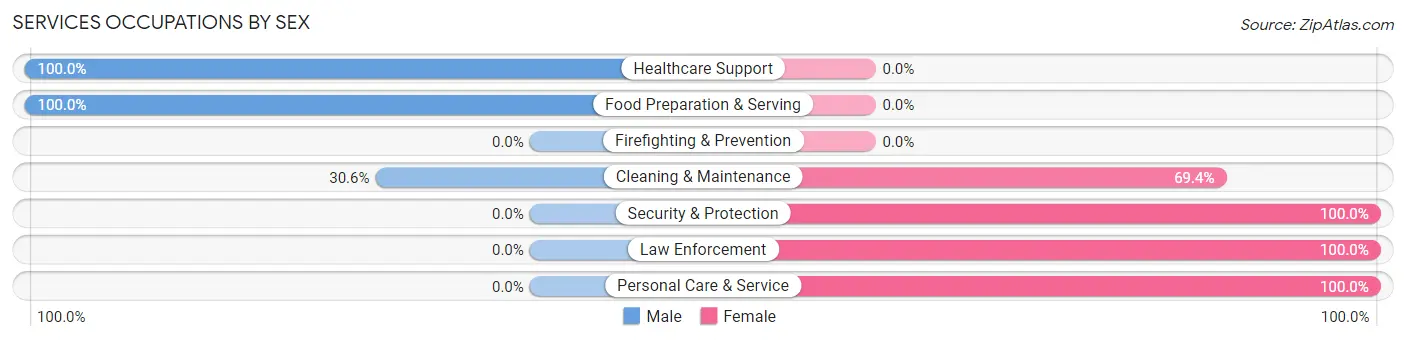 Services Occupations by Sex in Vamo