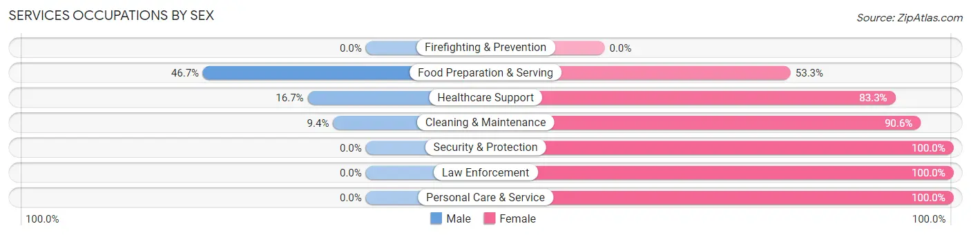 Services Occupations by Sex in Vernon