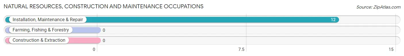 Natural Resources, Construction and Maintenance Occupations in Verona Walk