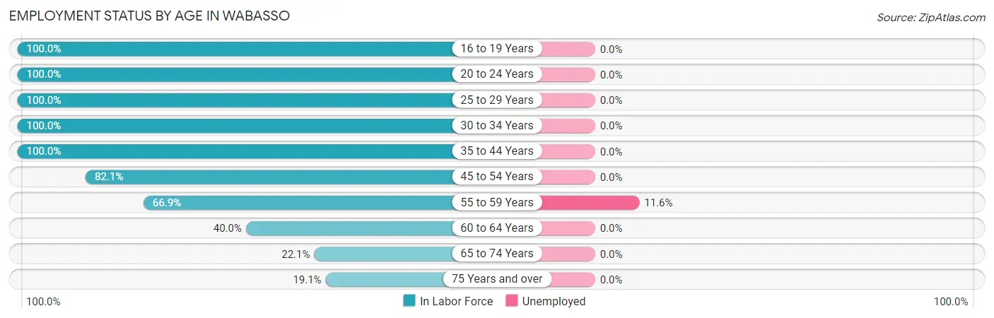 Employment Status by Age in Wabasso
