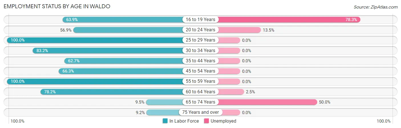 Employment Status by Age in Waldo