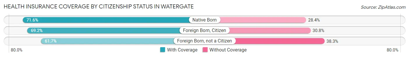 Health Insurance Coverage by Citizenship Status in Watergate