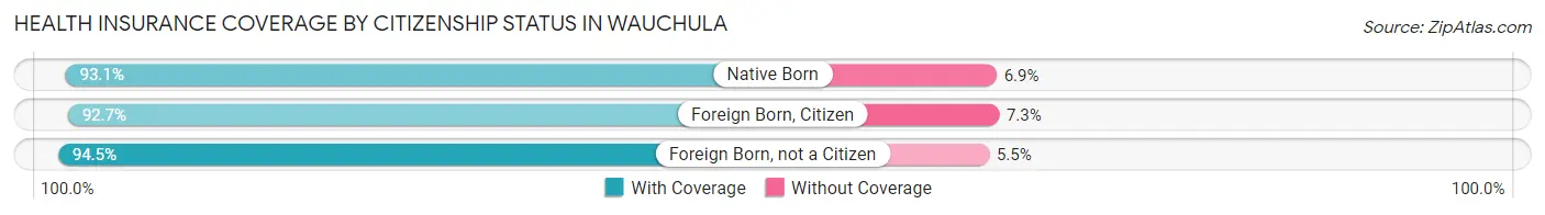Health Insurance Coverage by Citizenship Status in Wauchula
