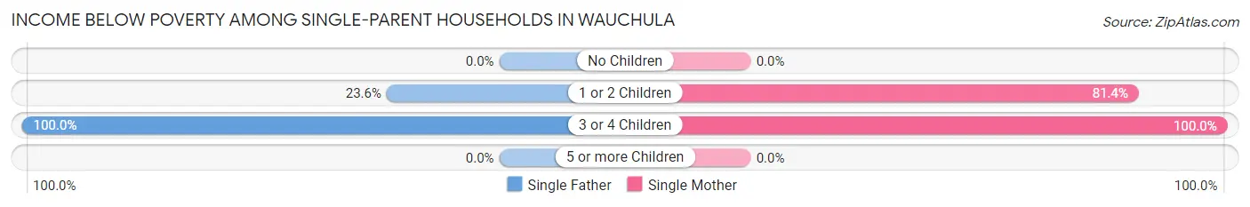 Income Below Poverty Among Single-Parent Households in Wauchula