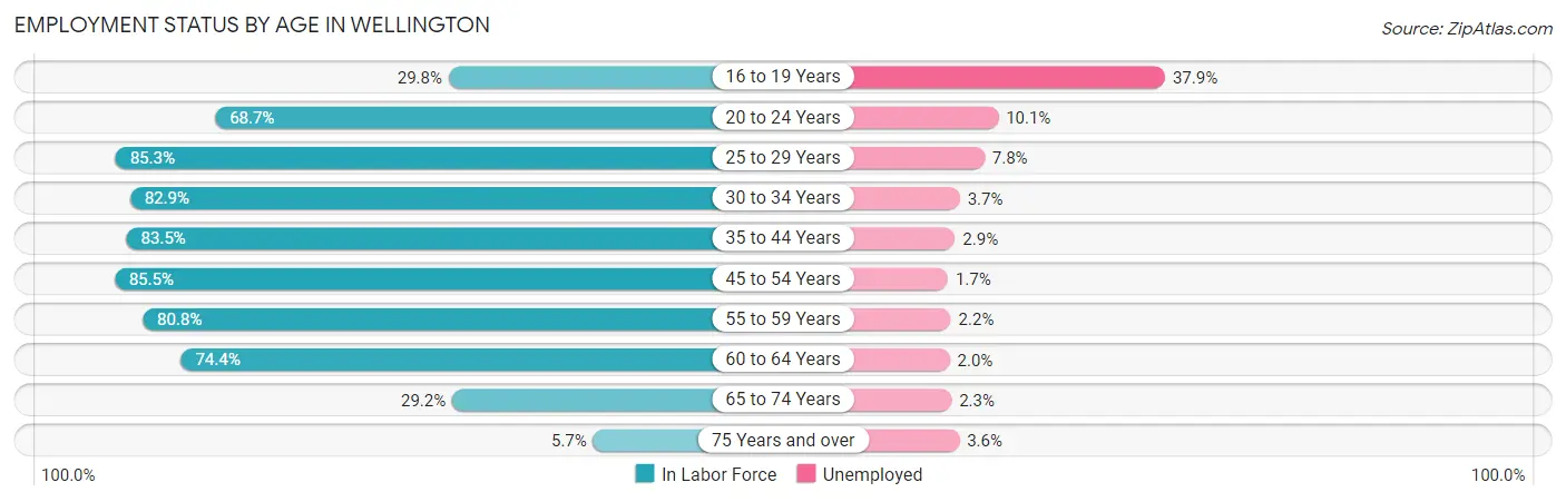 Employment Status by Age in Wellington