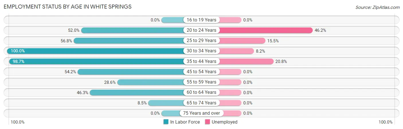 Employment Status by Age in White Springs
