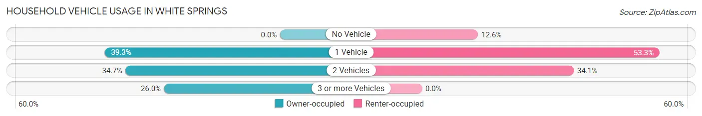 Household Vehicle Usage in White Springs