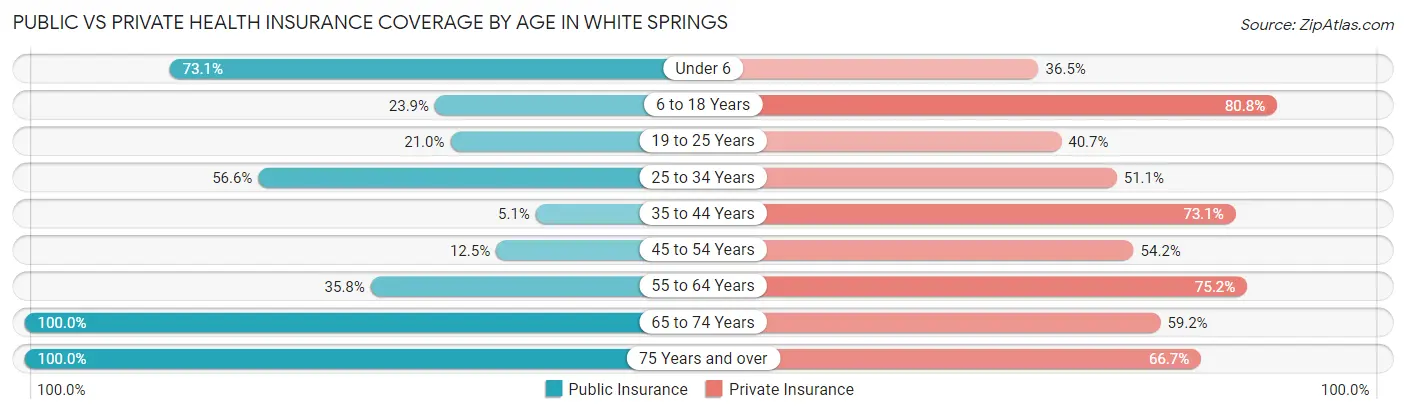 Public vs Private Health Insurance Coverage by Age in White Springs
