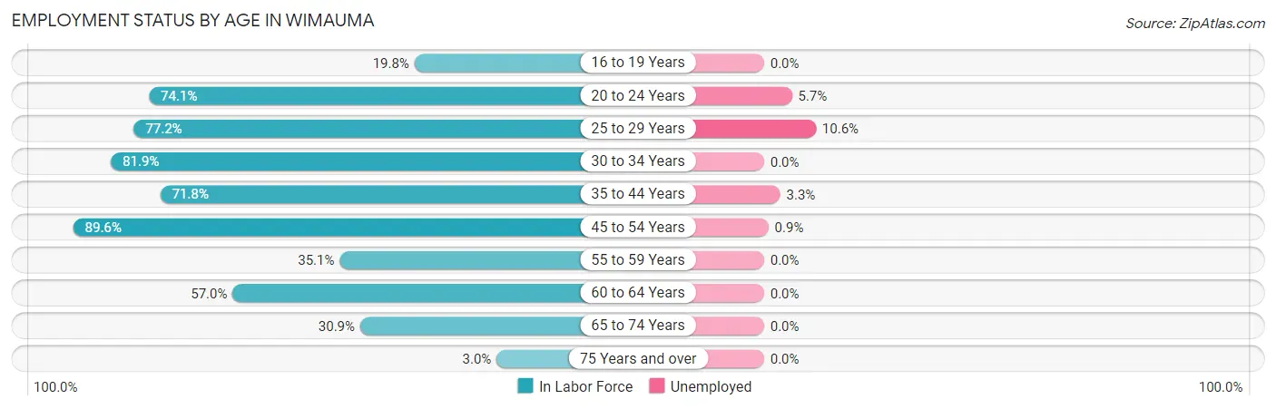 Employment Status by Age in Wimauma