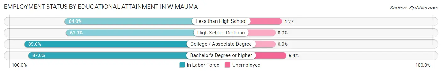 Employment Status by Educational Attainment in Wimauma