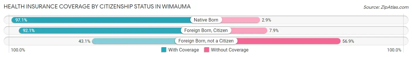 Health Insurance Coverage by Citizenship Status in Wimauma