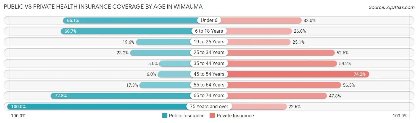 Public vs Private Health Insurance Coverage by Age in Wimauma