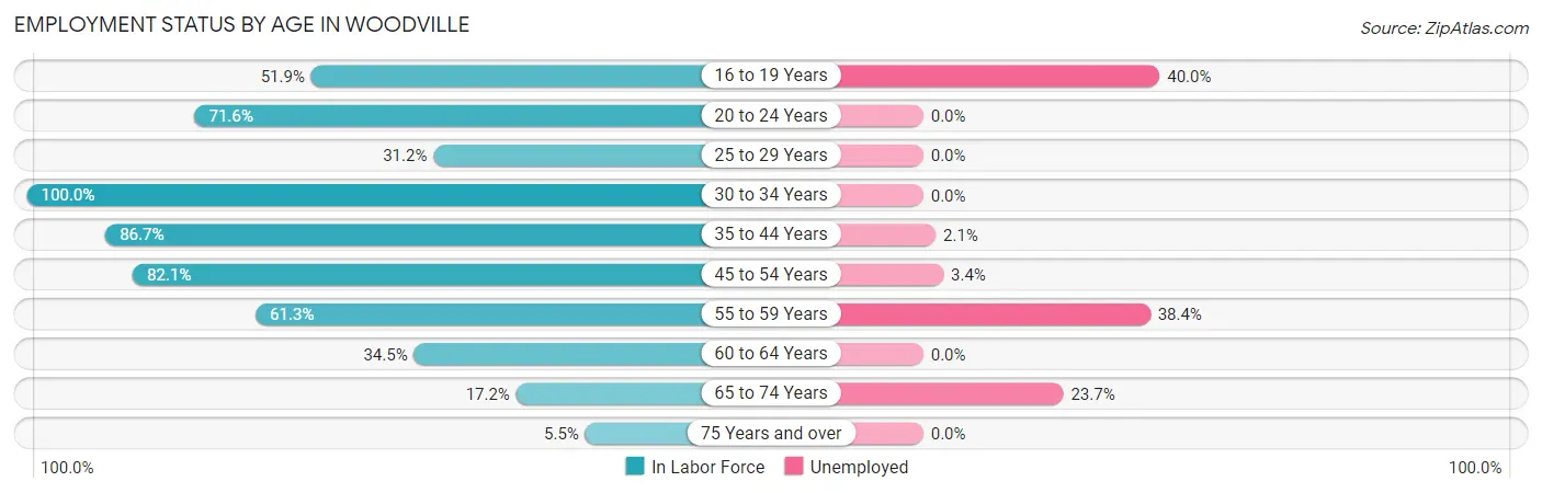Employment Status by Age in Woodville
