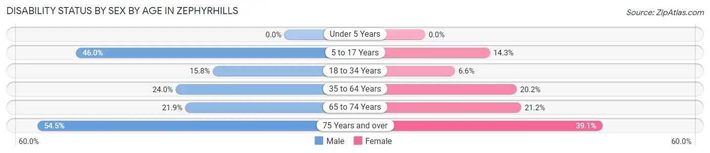 Disability Status by Sex by Age in Zephyrhills