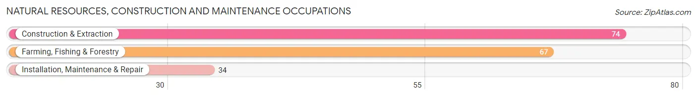 Natural Resources, Construction and Maintenance Occupations in Zolfo Springs