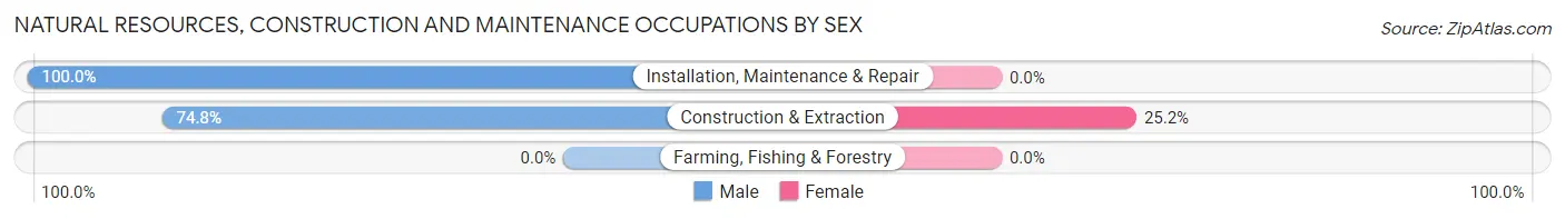 Natural Resources, Construction and Maintenance Occupations by Sex in Adel