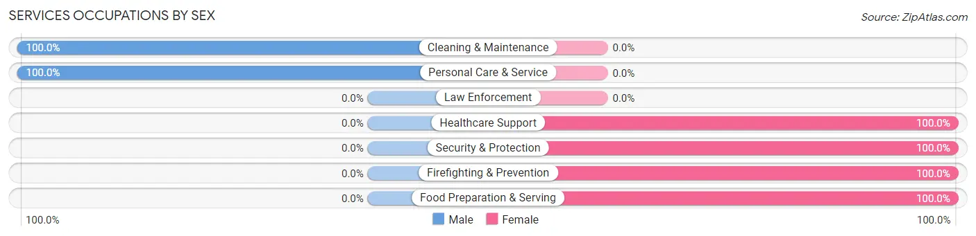 Services Occupations by Sex in Adel
