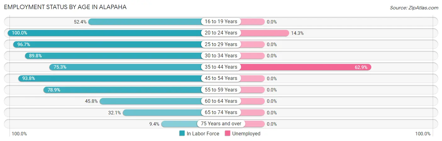 Employment Status by Age in Alapaha