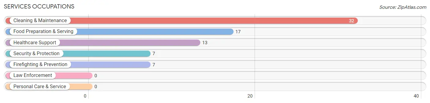 Services Occupations in Alapaha