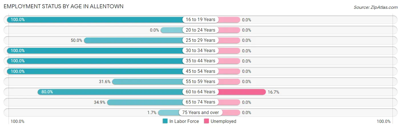 Employment Status by Age in Allentown