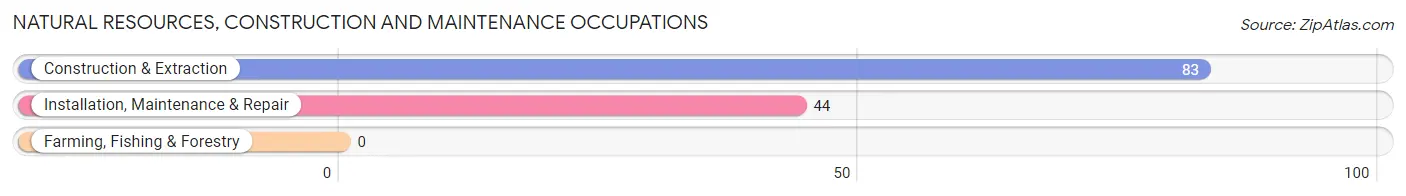 Natural Resources, Construction and Maintenance Occupations in Alma