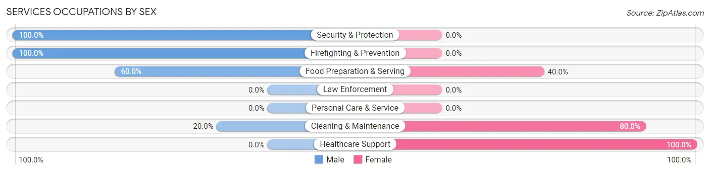 Services Occupations by Sex in Alto