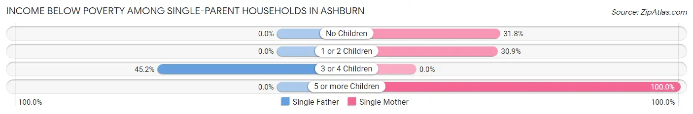 Income Below Poverty Among Single-Parent Households in Ashburn