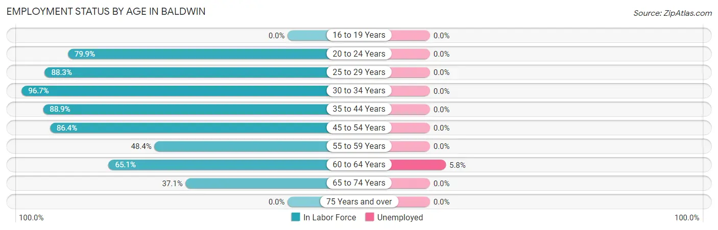 Employment Status by Age in Baldwin