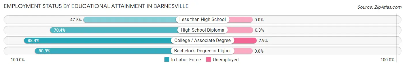 Employment Status by Educational Attainment in Barnesville
