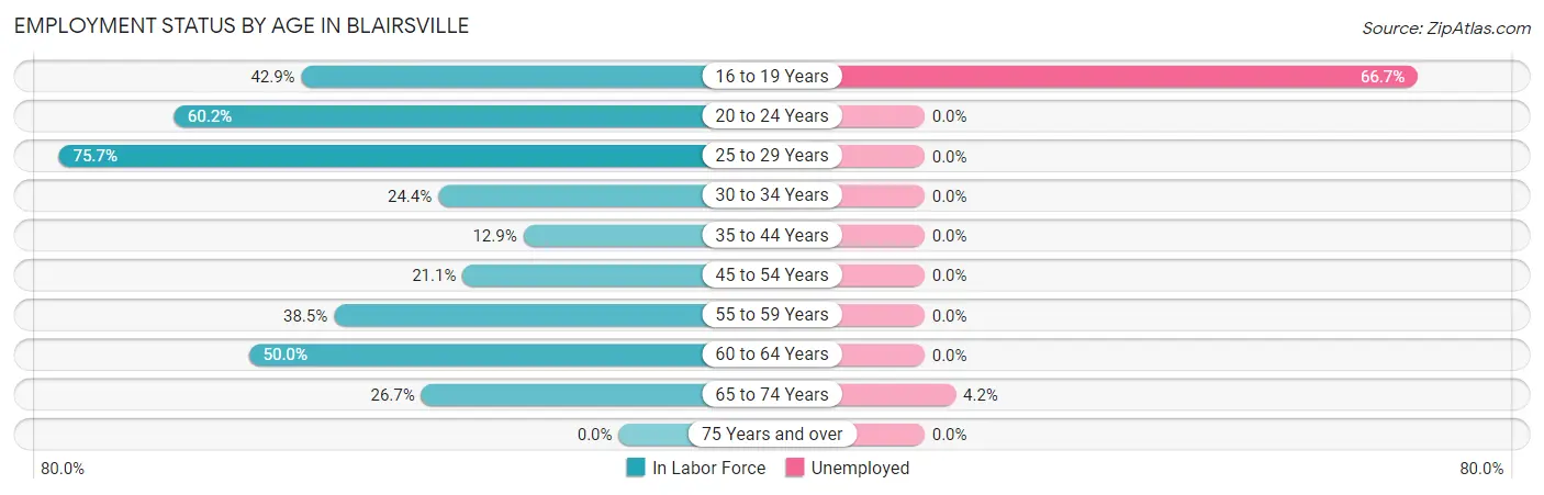 Employment Status by Age in Blairsville