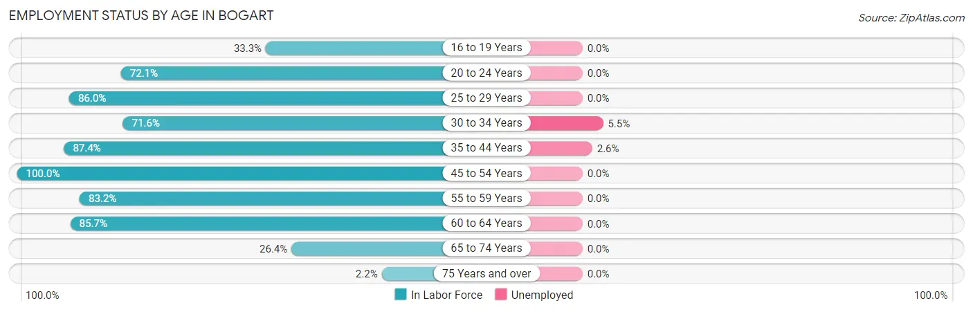 Employment Status by Age in Bogart